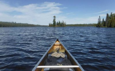 View from a Canoe