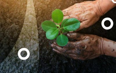 Thinking on what to plant in your garden