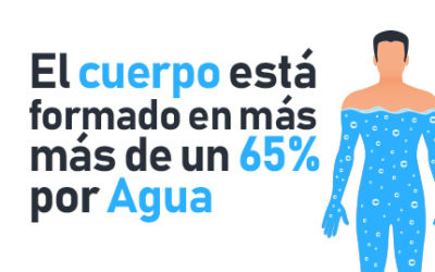 El cuerpo está formado en más de un 65 por ciento por agua, y es el elemento más importante para la vida  ¡Cuídala!